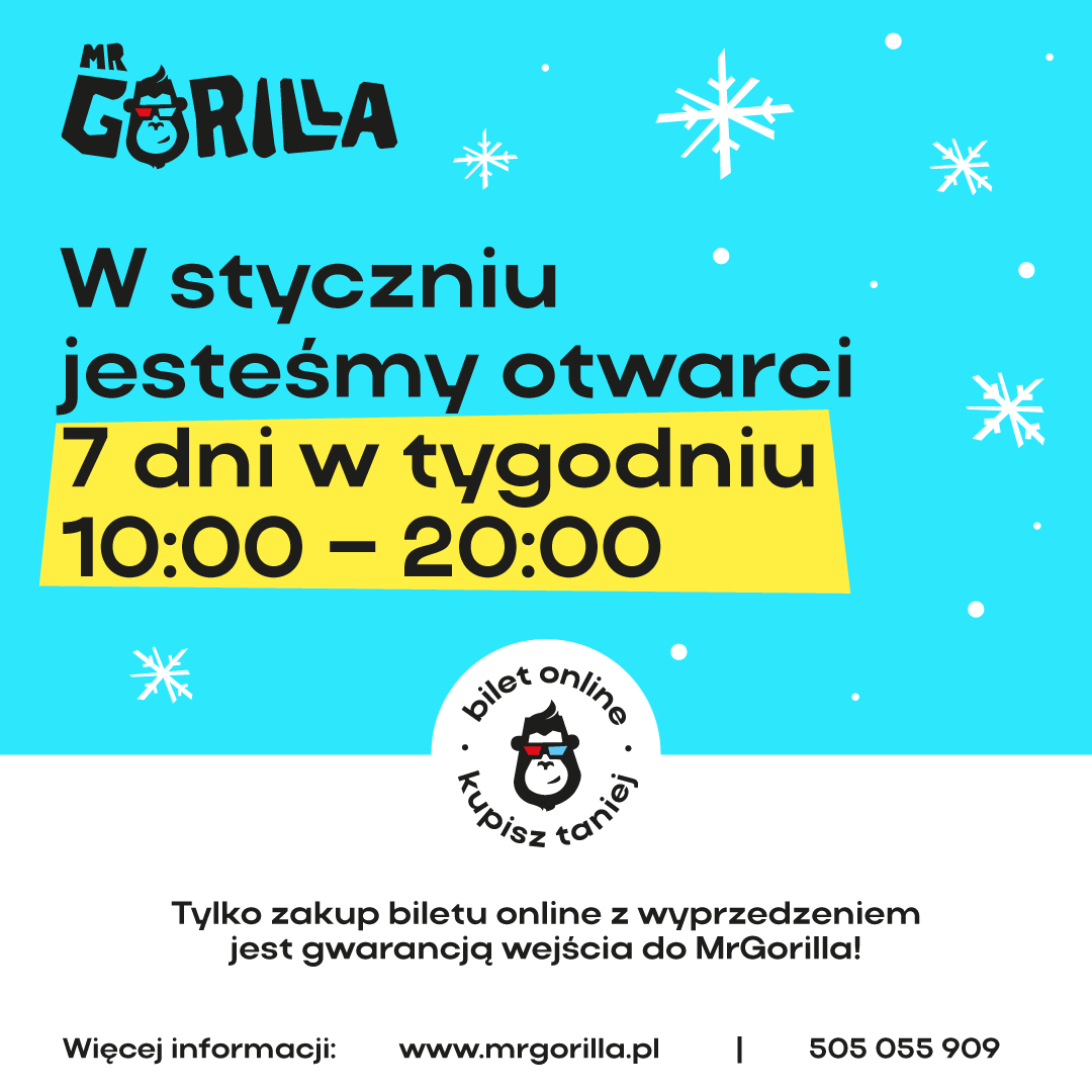 MrGorilla sala zabaw w Gdyni